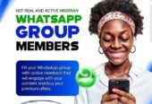 Active Nigerian WhatsApp, Telegram Group Members (100% Verified)